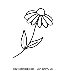 Flor de manzanilla de verano. Dibujado a mano doodle ilustración.