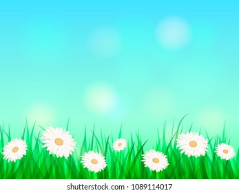 Summer chamomile glade. Space for text. Vector illustration