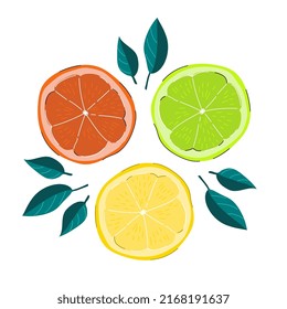 Summer citrus fruits. Lemon, lime and orange slices with lives isolated on white. Vector illustration.