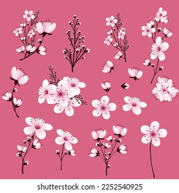 Summer clipart autumn clipart nature forest, Background cherry blossom spring flower Japan, Branch of blooming sakura with flowers, cherry blossom