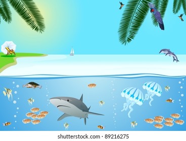 Summer coastal landscape and the inhabitants of the underwater world