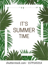 Summer - coconut palm frame.