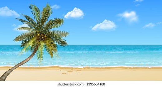 Summer with coconut tree on beach. Vector illustration Concept of seasonal vacation in tropical country.