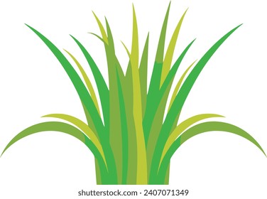 summer coconut tree silhouette vector 