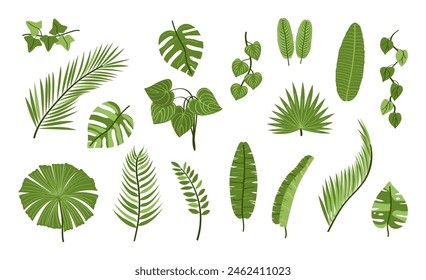 Summer collection of hand drawn green tropical leaves. Set of exotic plant elements