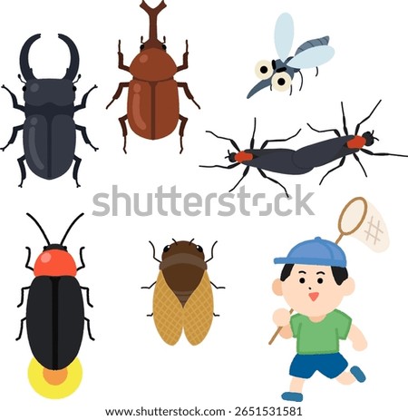 a summer collection of insects