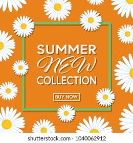 Summer collection template poster or banner with daisy flowers. Vector illustration