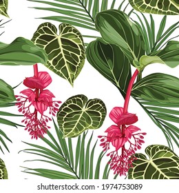 Summer colorful background. Seamless pattern with tropical  Medinilla flowers. Fashionable illustration with palm leaves and plant on a white background.