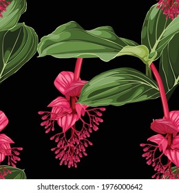 Summer colorful background. Seamless pattern with tropical  Medinilla flowers. Fashionable illustration with tropical flowers and leaves on a black background.