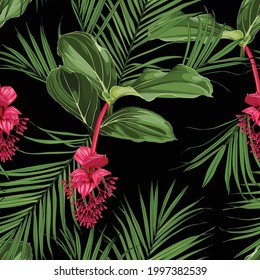 Summer colorful background. Seamless pattern with tropical  Medinilla flowers and exotic palm leaves. Fashionable illustration with tropical flowers and leaves on a black background.