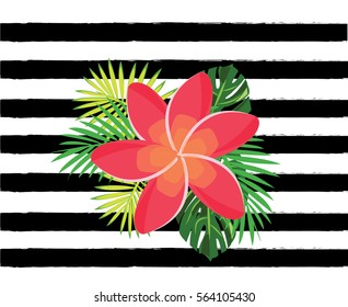 Summer colors and tropical leaves and flower