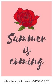 Summer is coming. Handwritten lettering text design and red rose on pink background. Design poster, banner, print, post card. Vector illustration  
