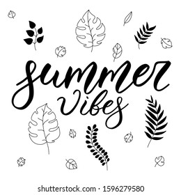 Summer composition with hand drawn lettering and tropical leaves. Vector set with hand written elegant lettering "Summer vibes" on background with tropical leaves pattern.