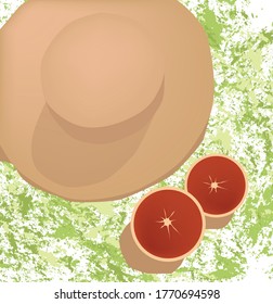 Summer composition with two halves of grapefruit and hat on green splashed background. Vector
