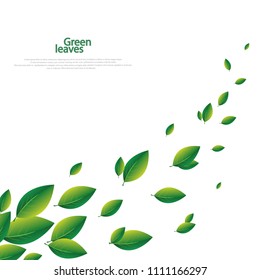 Summer concept with flying green leaves foliage on white transparent background. Vector illustration.