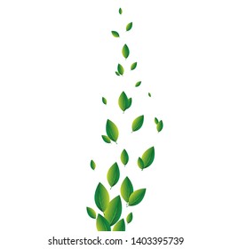 Summer concept with flying green leaves foliage on white transparent background. Vector illustration