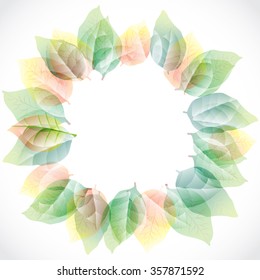 Summer Concept. Mockup Templates: blank letterhead with space for your text. Vector Elements of design on an isolated backdrop with summer leaves