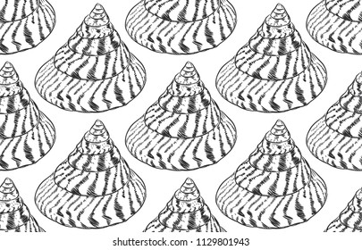 Summer concept with Unique museum  sea shells sea snails. Sketch black contour isolated on white background. Can be used for fabrics, wallpapers. Vector