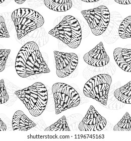 Summer concept with Unique museum sea shells sea snails. Sketch black contour isolated on white background. Can be used for fabrics, wallpapers. Vector