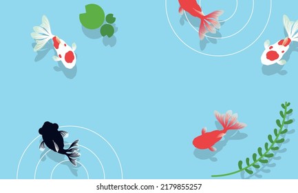 Summer copyspace template background for various goldfish swimming on the surface of the water in summer