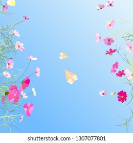 Summer Cosmos Flowers