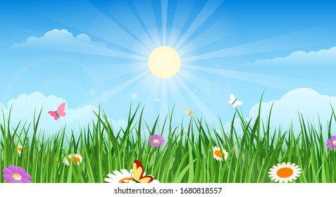 Summer country garden landascape. Spring meadow scenic drawing image, countryside valley with green grass pasture, beautiful blue sky and clouds, flowers and butterflies, vector illustration