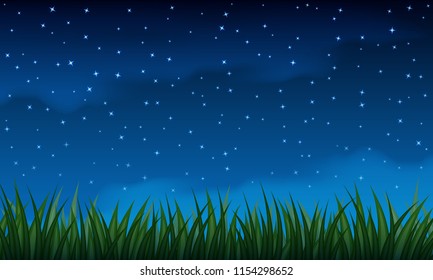 Summer countryside field grass border and starry night sky vector background.