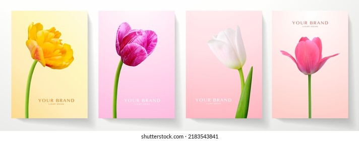 Summer cover design set. Red, purple, white tulip flower on colourful background. Elegant vector template for wedding invitation, summer sale, holiday celebration for womens day