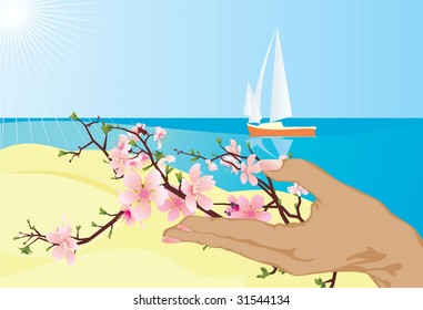 summer cruise