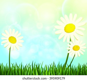 Summer. Daisies in the green grass. Vector illustration.