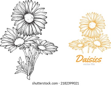 Summer daisies hand drawn in yellow and black on a white background. This file is ready to use, easy to edit for anything like wedding invitations, welcoming cards, labels, banners. 