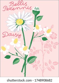 Summer daisy on the pink background vector character illustration