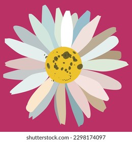 Daisy de verano sobre fondo rosado, marea vectorial, fondo floral rosado