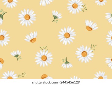 summer daisy spring daisy vector