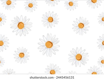 summer daisy spring daisy vector