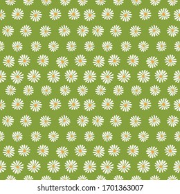 Summer daisy vector repeat pattern with green background. Texture for fabric, wrapping, textile, wallpaper, apparel. Vector illustration