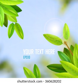 summer day with sunlight and fresh green leaves vector background