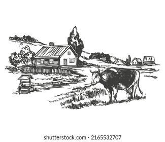 summer day, village, landscape, cow hand drawn vector illustration realistic sketch