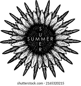 summer day in the world