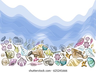 Summer design, background with different sea shells vector