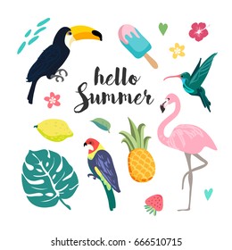 Summer design elements. Set with tropical birds, leaves, ice cream and exotic flowers. tropical paradise vector.
