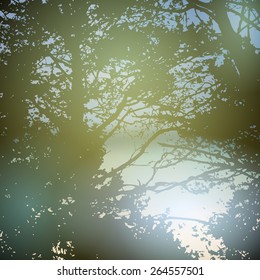 summer design, forest, nature green wood sunlight natural green background. Vector