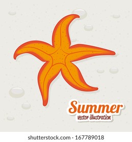 summer design over sand  background vector illustration   