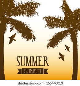 summer design over sunset background vector illustration  