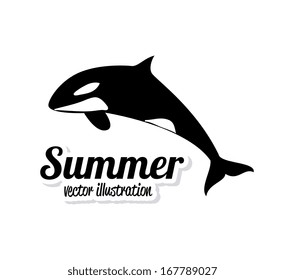 summer design over  white  background vector illustration   