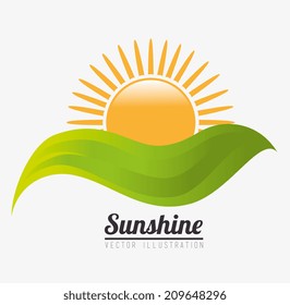 Summer design over white background, vector illustration