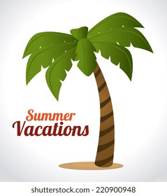 Summer design over white background, vector illustration