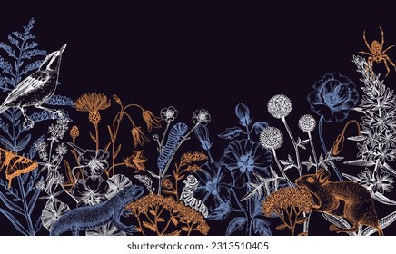 Summer design  in sketched style. Botanical drawings of wildflowers, herbs, meadows, berries, animals and birds. Vintage wildlife hand-drawn illustrations. Field plants background in color