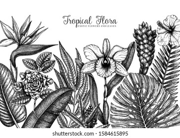 Summer design with tropical plants. Hand drawn exotic flowers and palm leaves sketches background. Vector template with tropical floral elements isolated on white background. Botanical illustration.