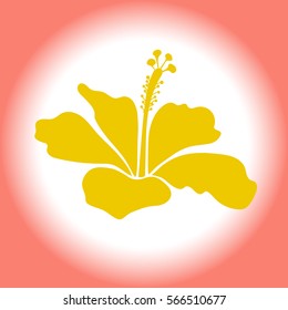 Summer design, vector flower concept, isolated flower. Hibiscus icon can be used for wallpaper, website background, wrapping paper. Natural single yellow and pink hibiscus flower.